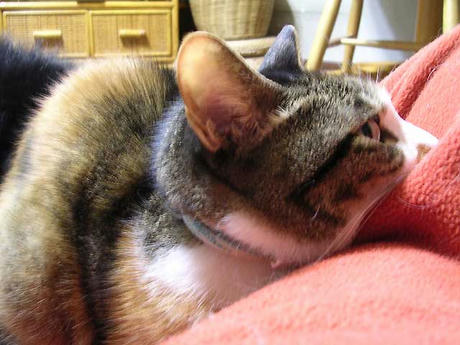 DSCN6773.jpg