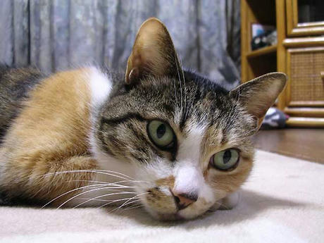 DSCN6790.jpg