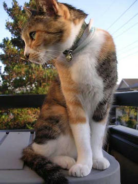 DSCN6797.jpg