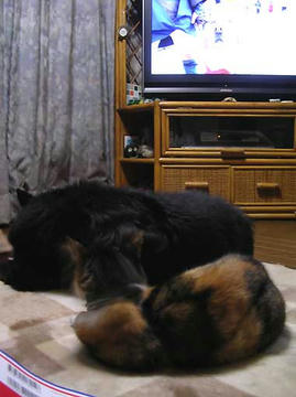 DSCN6821.jpg