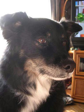DSCN6798.jpg