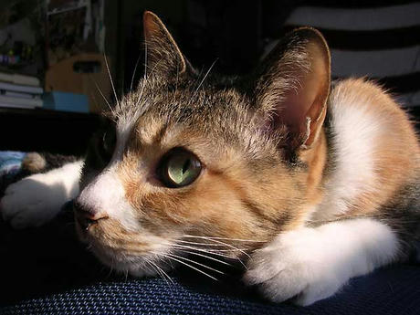 DSCN6818.jpg