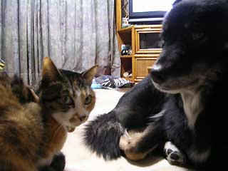 DSCN6883.jpg