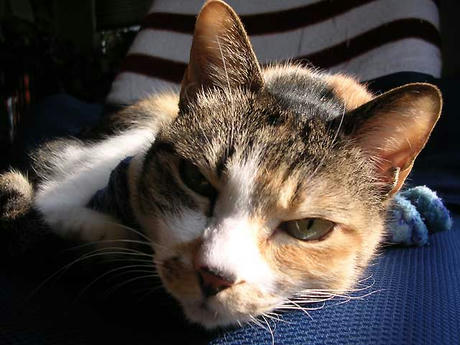 DSCN6807.jpg