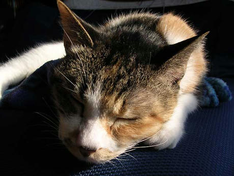 DSCN6819.jpg