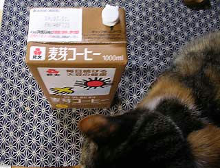 DSCN6893.jpg