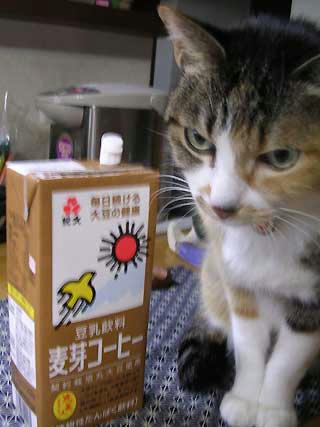 DSCN6894.jpg