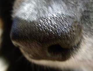 DSCN0023.jpg
