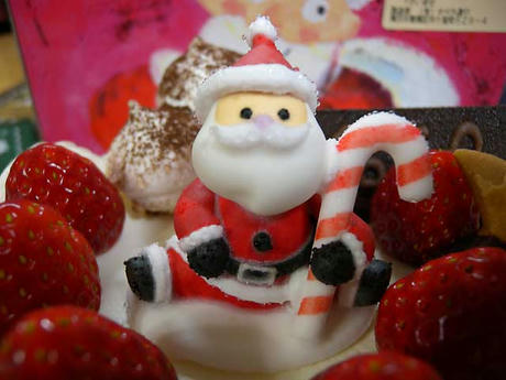 DSCN0079.jpg