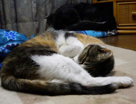 DSCN0097.jpg