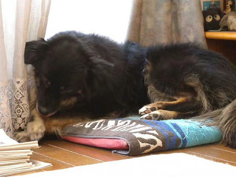 DSCN0030.jpg