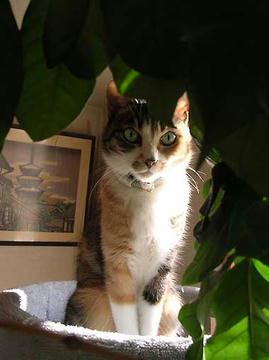 DSCN6863.jpg
