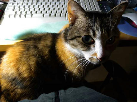 DSCN0116.jpg