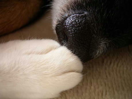 DSCN0229.jpg