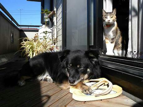 DSCN0324.jpg