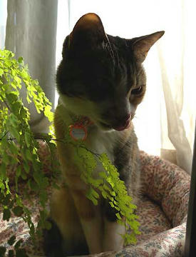 DSCN0309.jpg