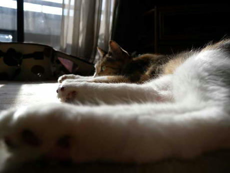 DSCN0391.jpg