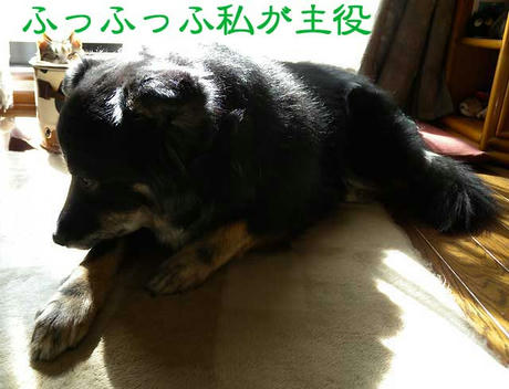 DSCN0363.jpg