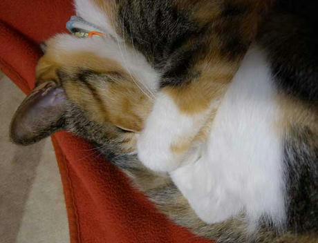 DSCN0347.jpg