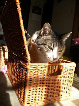 DSCN0401.jpg