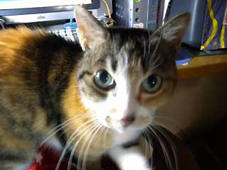 DSCN0472.jpg
