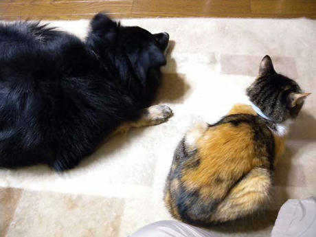 DSCN0479.jpg