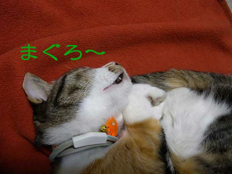 DSCN0405.jpg