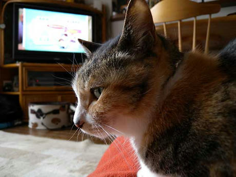 DSCN0493.jpg