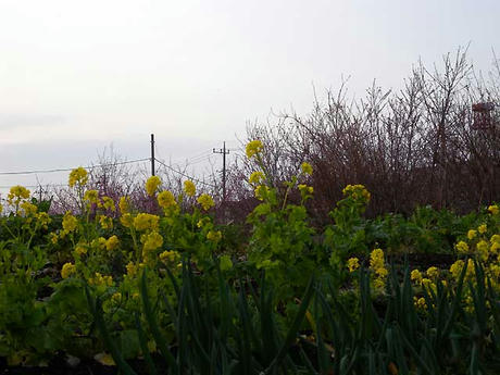 DSCN0508.jpg