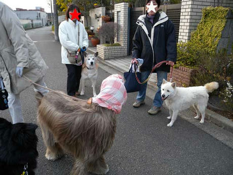 DSCN0514.jpg