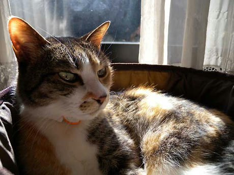 DSCN0368.jpg