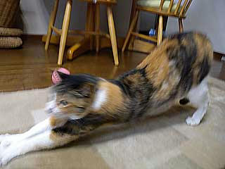 DSCN0566.jpg