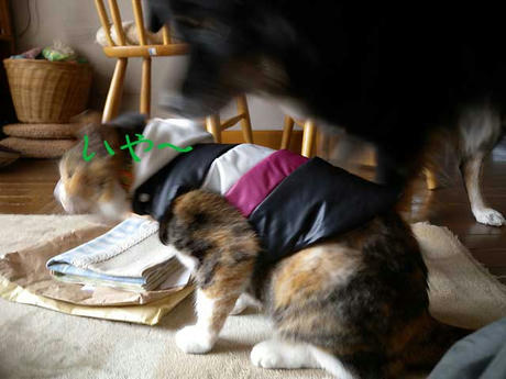DSCN0676.jpg