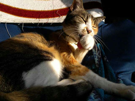 DSCN0700.jpg