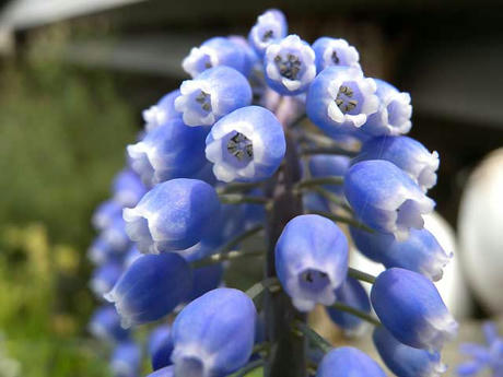 DSCN0714.jpg