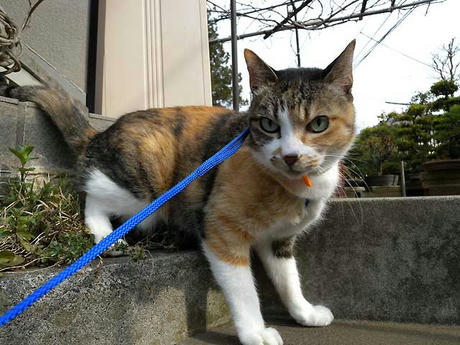 DSCN0721.jpg