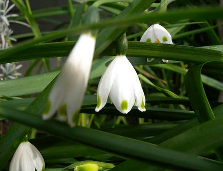 DSCN0719.jpg