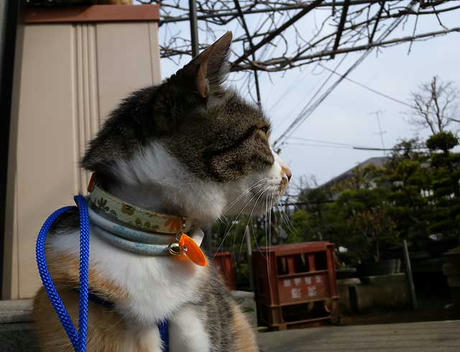DSCN0725.jpg
