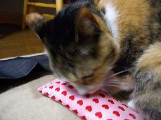 DSCN0784.jpg