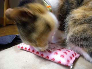 DSCN0785.jpg