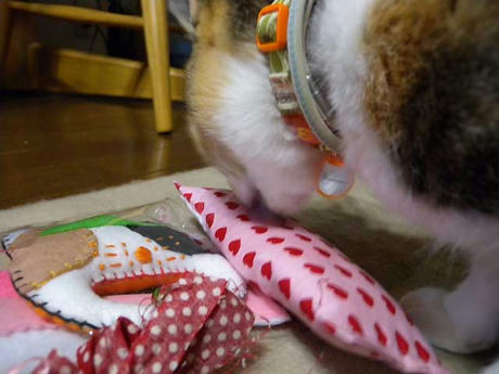 DSCN0793.jpg
