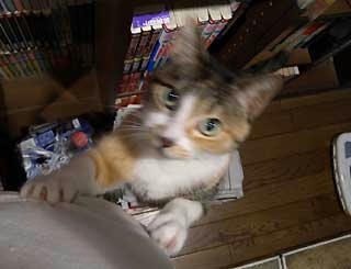 DSCN0803.jpg