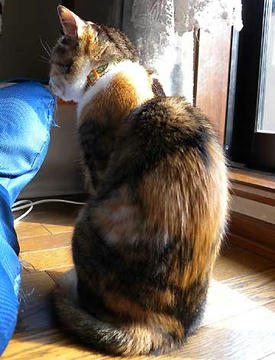DSCN0756.jpg
