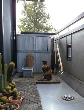 DSCN0814.jpg