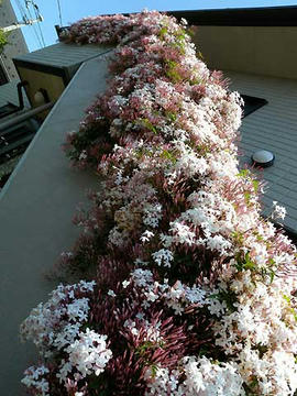 DSCN0859.jpg