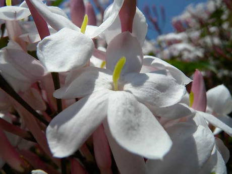 DSCN0860.jpg