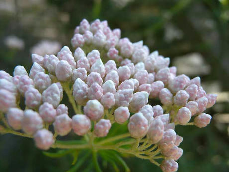 DSCN0874l.jpg