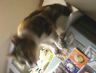 DSCN0954.jpg
