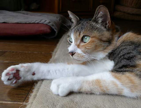 DSCN0943.jpg