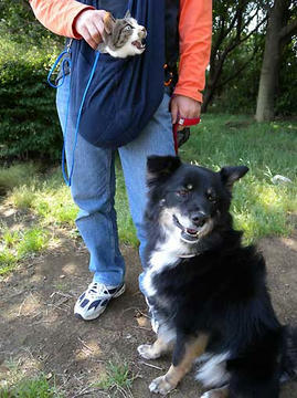 DSCN0973.jpg